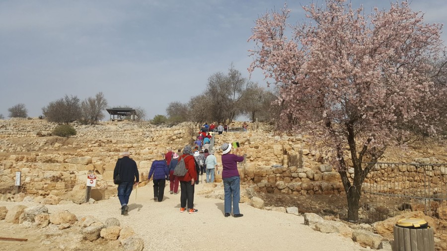 מבצע בארץ בינימין (34)