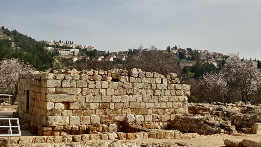 מבצע בארץ בינימין (35)