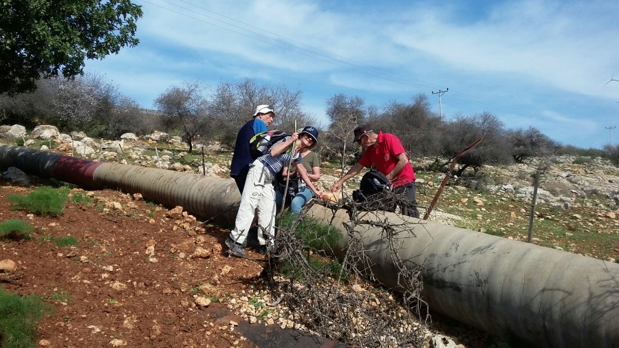 שביל ישראל מרמות נפתלי לנחל דישון (14)