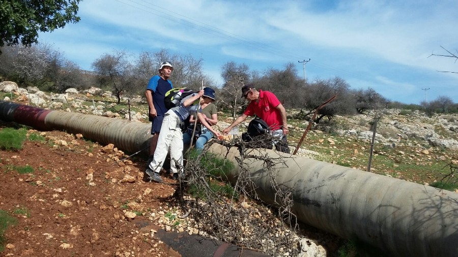 שביל ישראל מרמות נפתלי לנחל דישון (15)