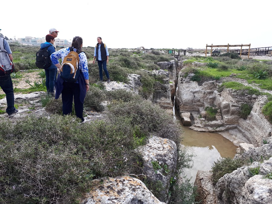 שמורת נחל התנינים (6)