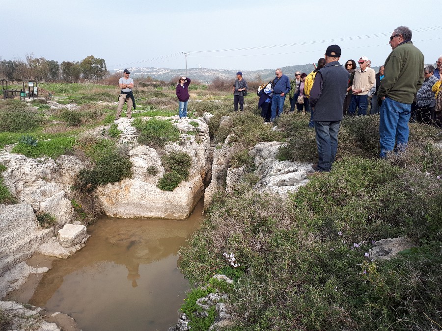 שמורת נחל התנינים (13)