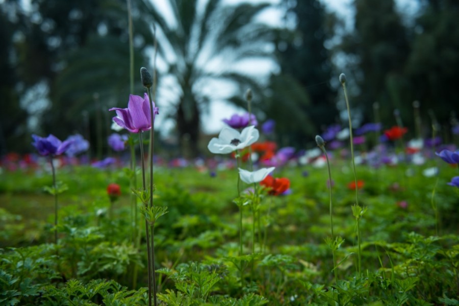 חוג צילום וציור נפגשים במעוז חיים (11)