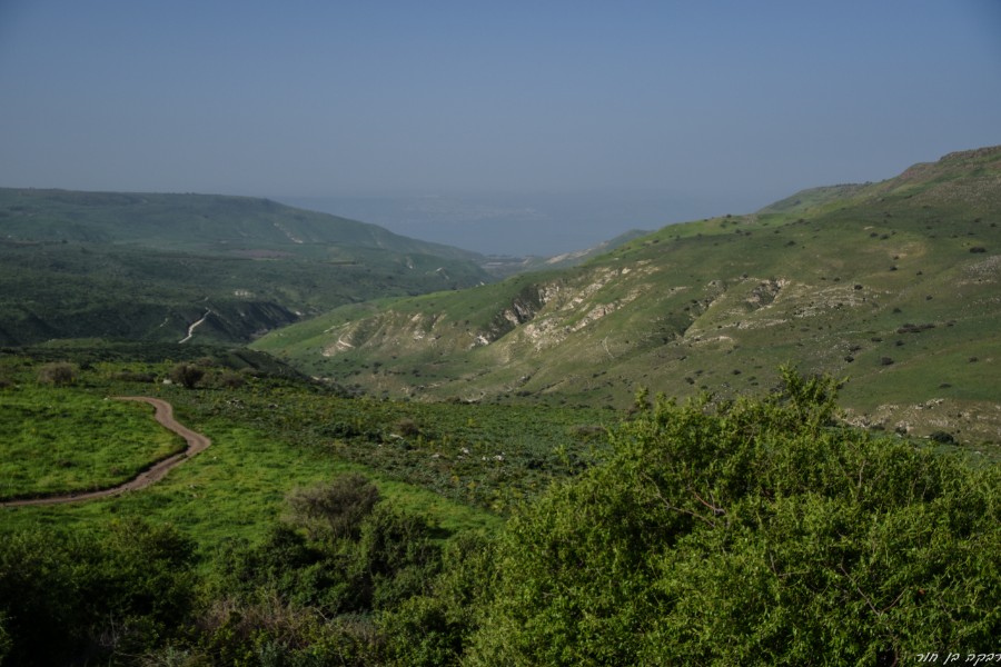 צועדים בשביל הגולן-מאום אל קנאטיר  (7)