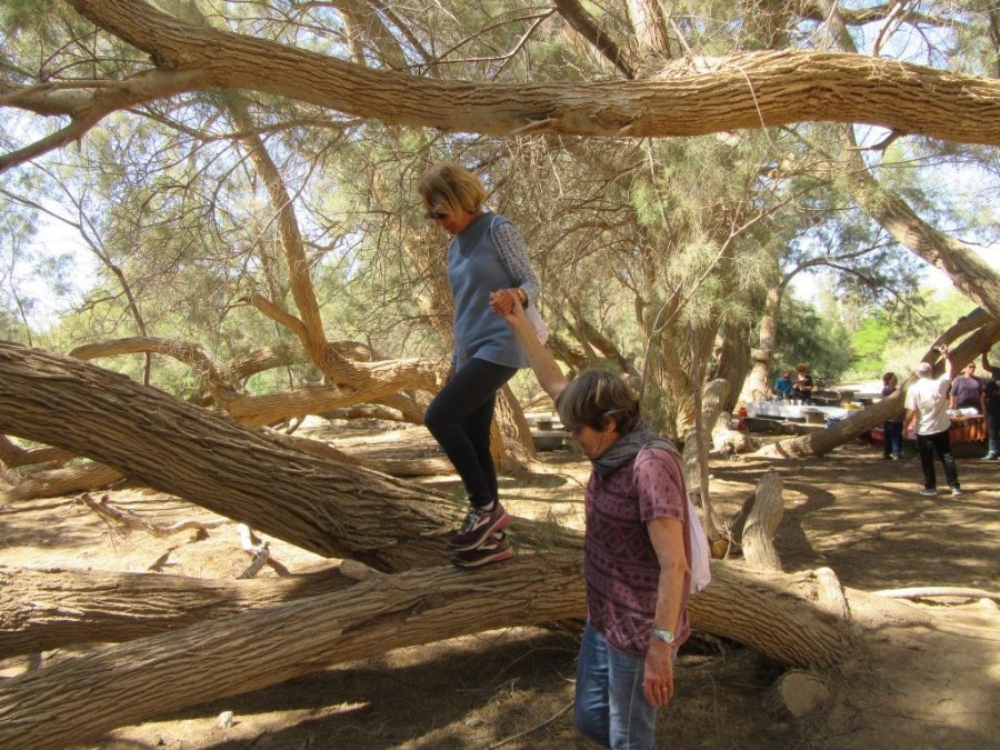 מתנת הגיל במדבר יום שני (4)