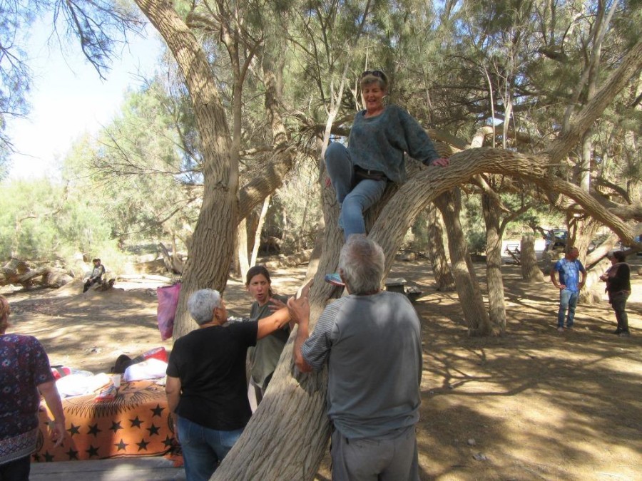 מתנת הגיל-היום השני (9)