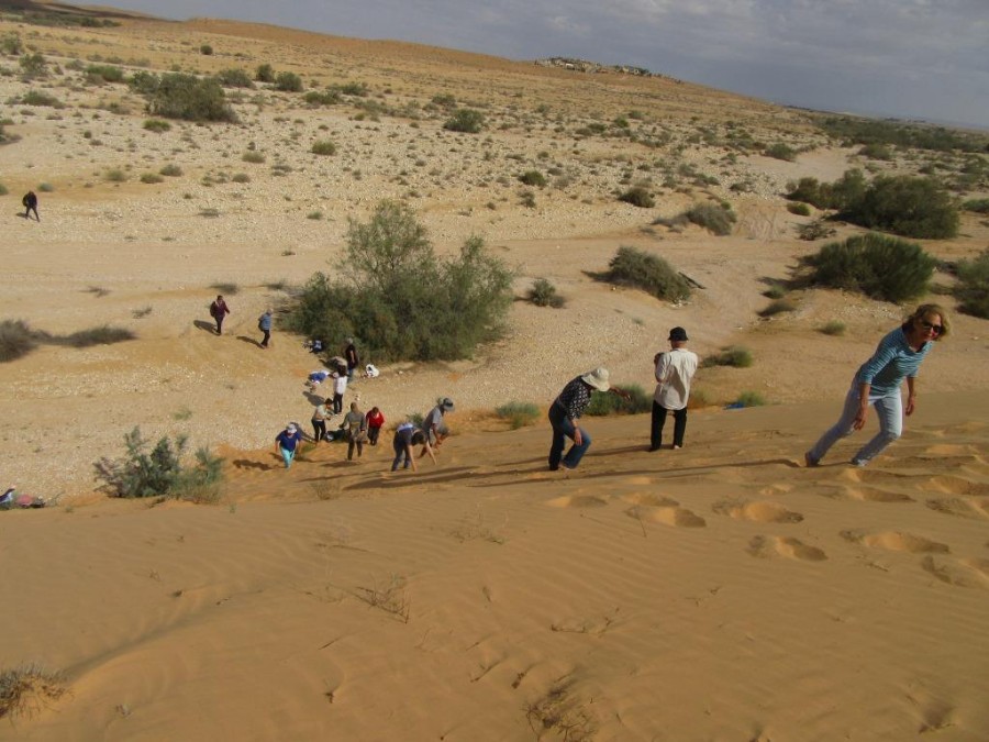 מתנת הגיל-מסע במדבר (4)