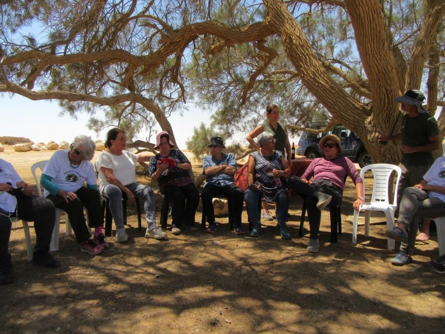 והיום השלישי (13)