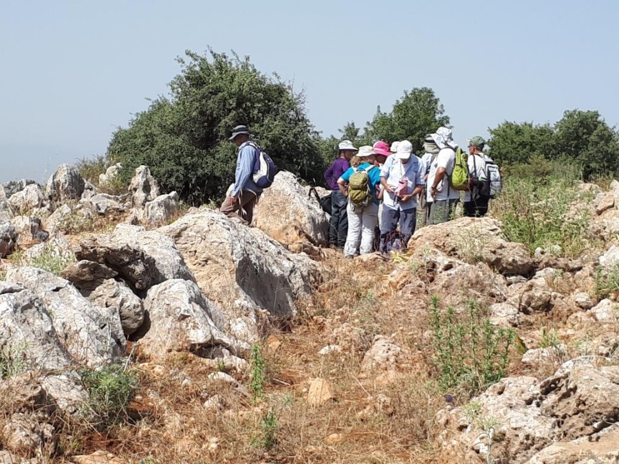 צועדים בגולן 8.6.18 מהחרמון למסעדה (13)