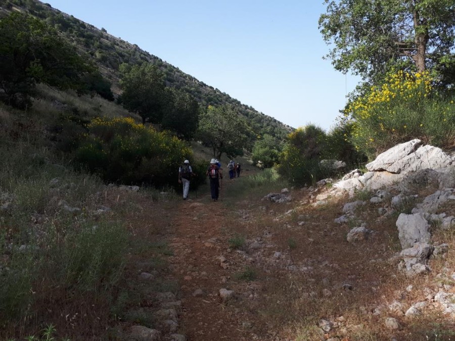 צועדים בגולן 8.6.18 מהחרמון למסעדה (7)