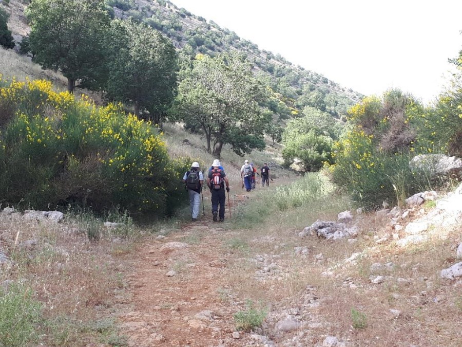 צועדים בגולן 8.6.18 מהחרמון למסעדה (8)