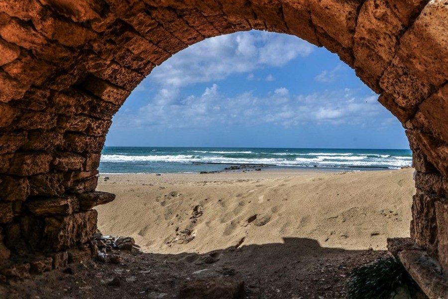 מסגרות- צפרירה אברהמי