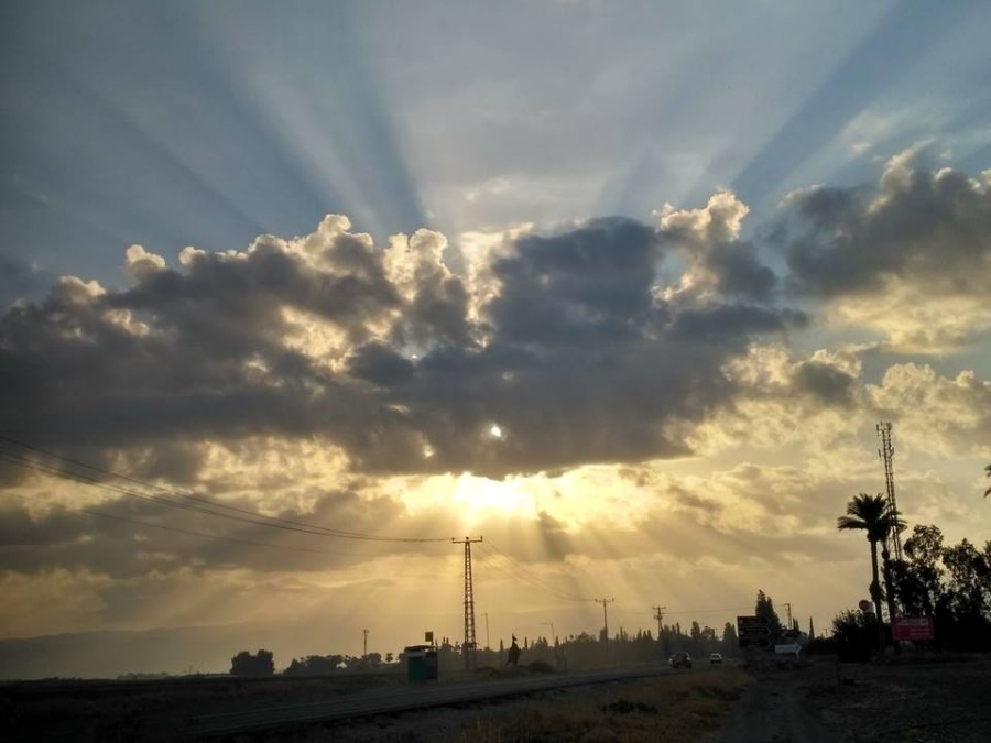 התחלה חדשה- מאירה ארבל