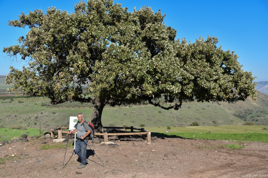 צועדים מכפר קיש ליבנאל (37)