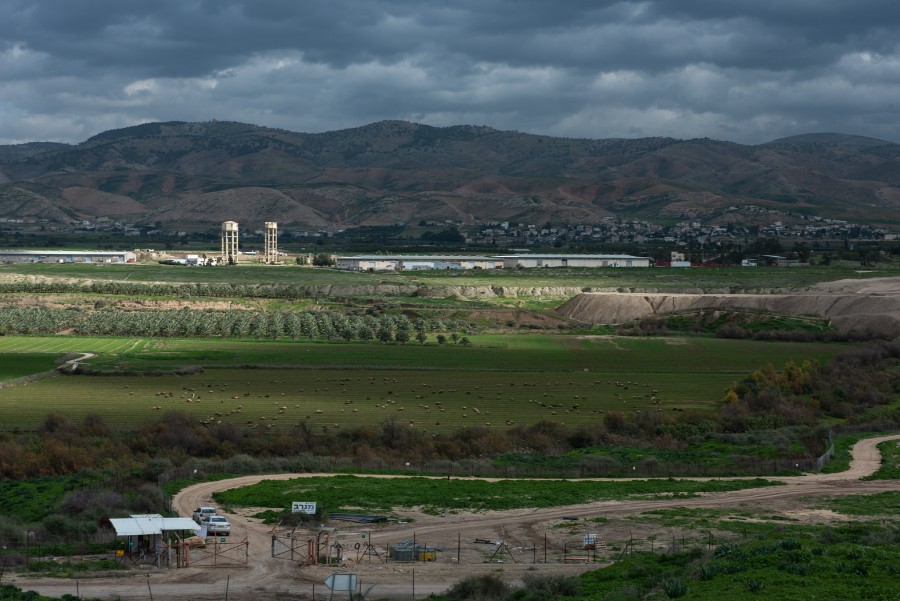 סיור צפורים בברכות כפר רופין  (15)