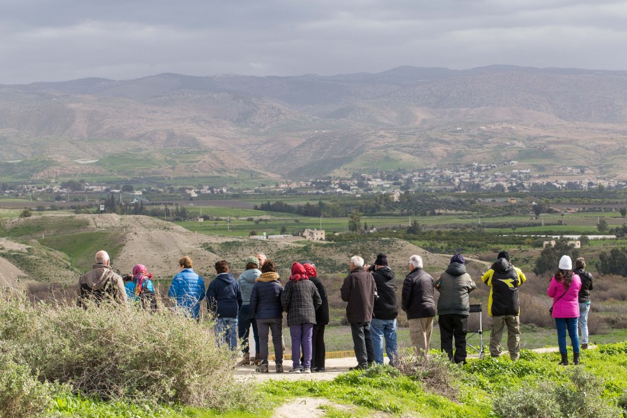 סיור צפורים בברכות כפר רופין  (6)