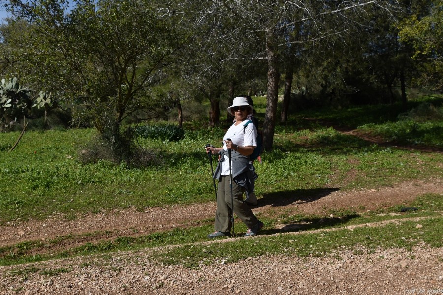 שביל ישראל מיער בן שמן ללטרון (11)