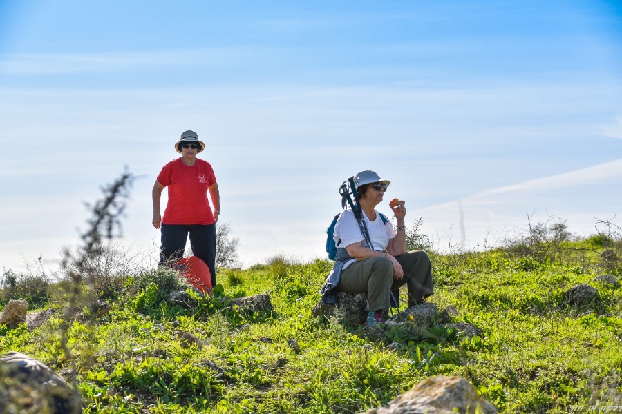 שביל ישראל מיער בן שמן ללטרון (17)