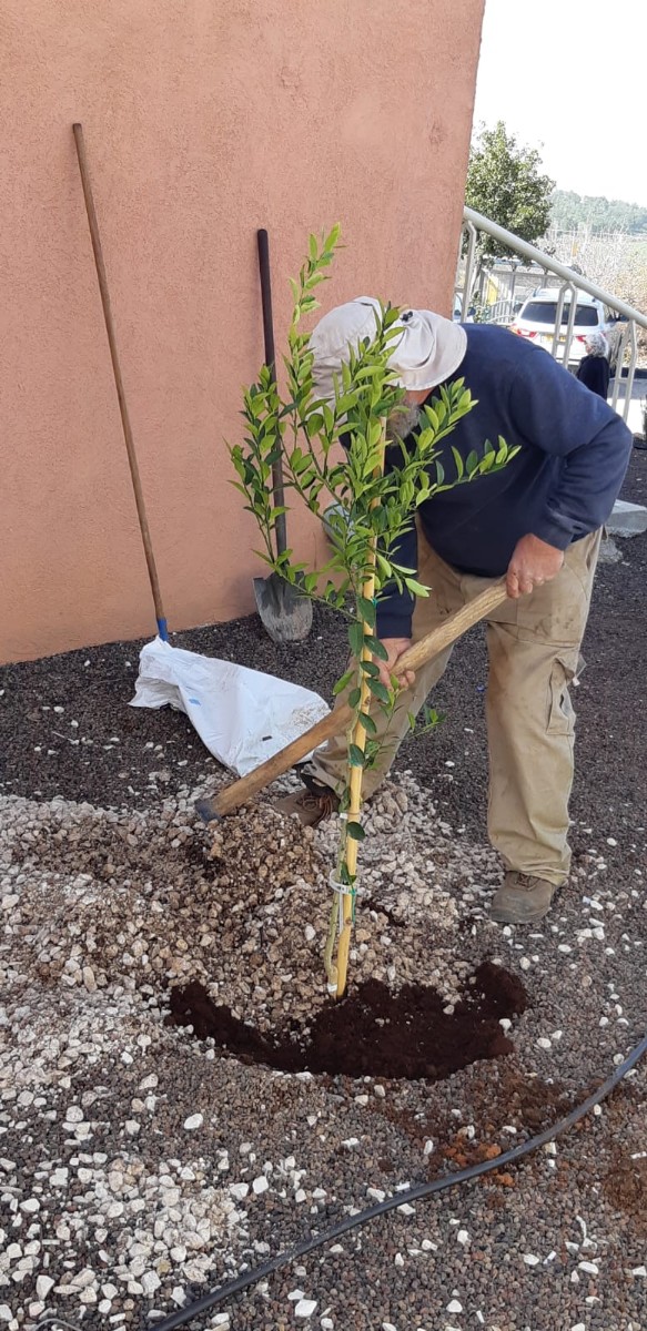 טו בשבט תשעט (12)