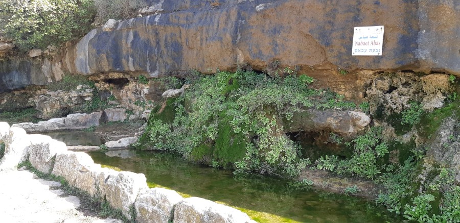 מחרבת חממה למרגלות המרון לגשר אלקוש (20)