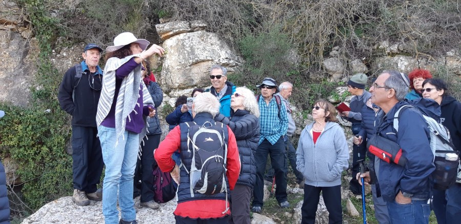 מחרבת חממה למרגלות המרון לגשר אלקוש (26)