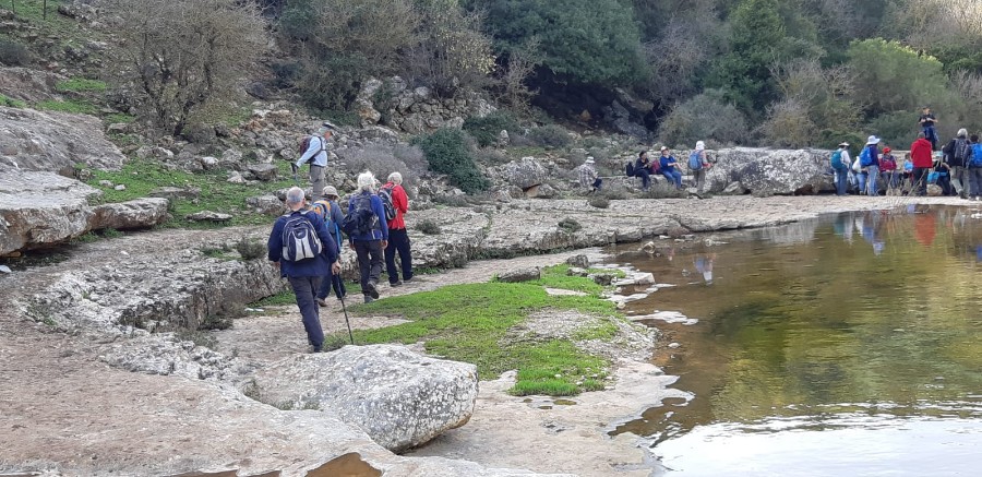 מחרבת חממה למרגלות המרון לגשר אלקוש (44)