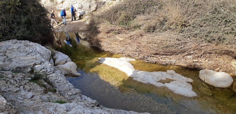 מחרבת חממה למרגלות המרון לגשר אלקוש (46)