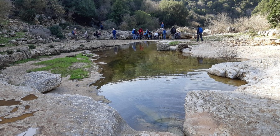 מחרבת חממה למרגלות המרון לגשר אלקוש (45)