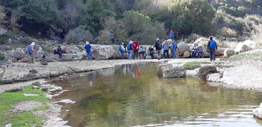 מחרבת חממה למרגלות המרון לגשר אלקוש (31)