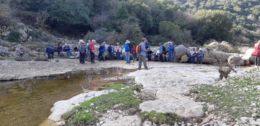 מחרבת חממה למרגלות המרון לגשר אלקוש (43)