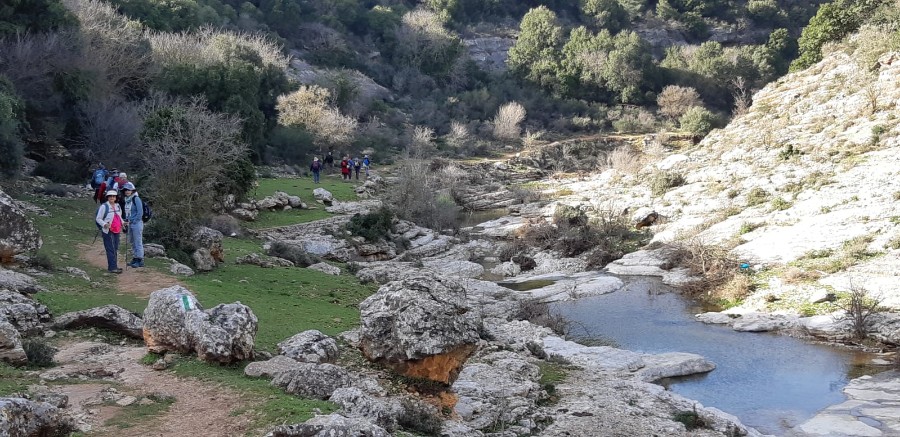 מחרבת חממה למרגלות המרון לגשר אלקוש (37)