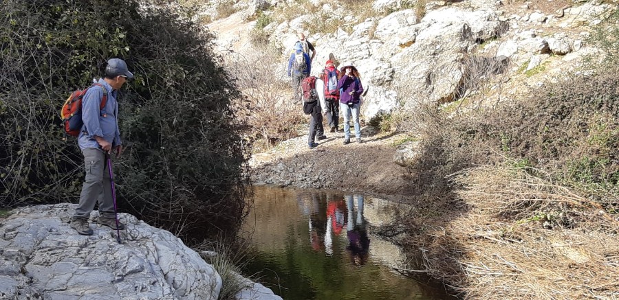 מחרבת חממה למרגלות המרון לגשר אלקוש (30)