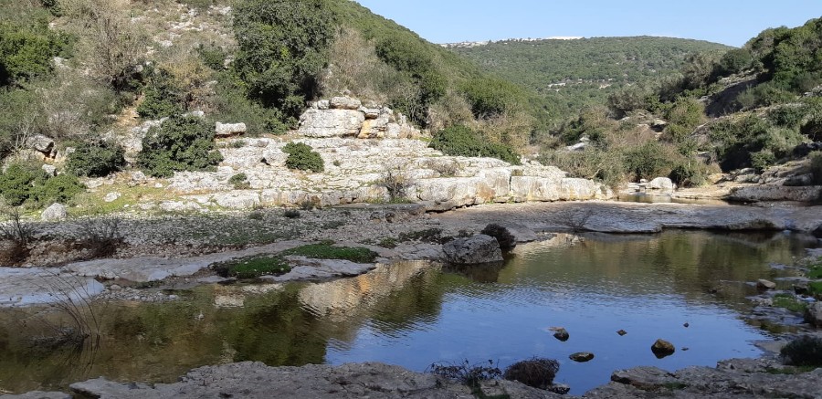 מחרבת חממה למרגלות המרון לגשר אלקוש (40)