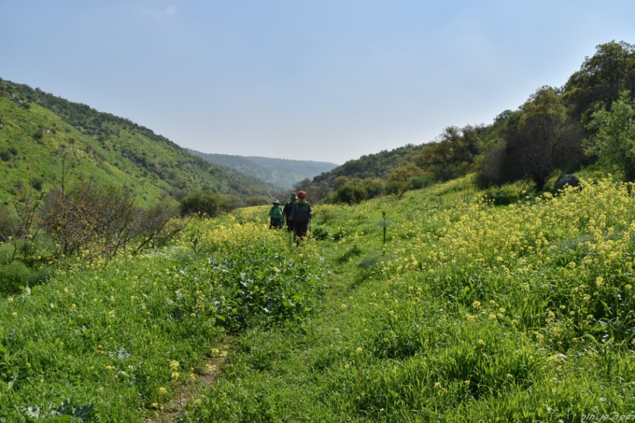 צועדים בגולן-נחל מיצר (22)