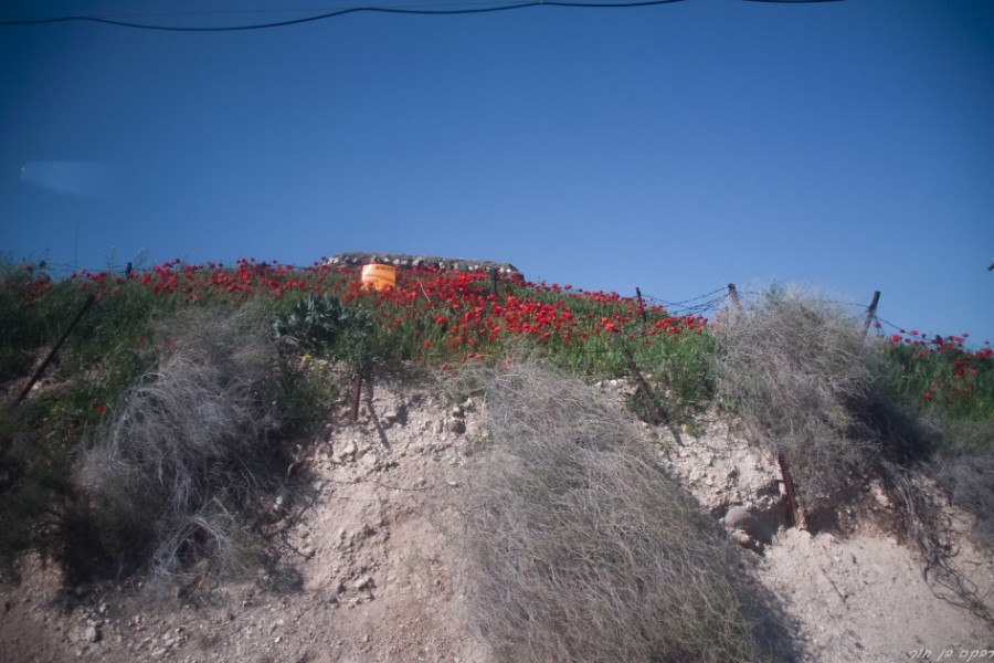 צועדים בגולן-נחל מיצר (49)