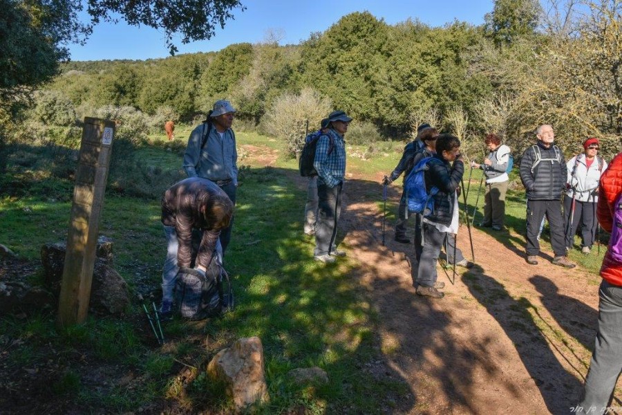 שביל ישראל מהצבעון לדישון 9.3 (10)