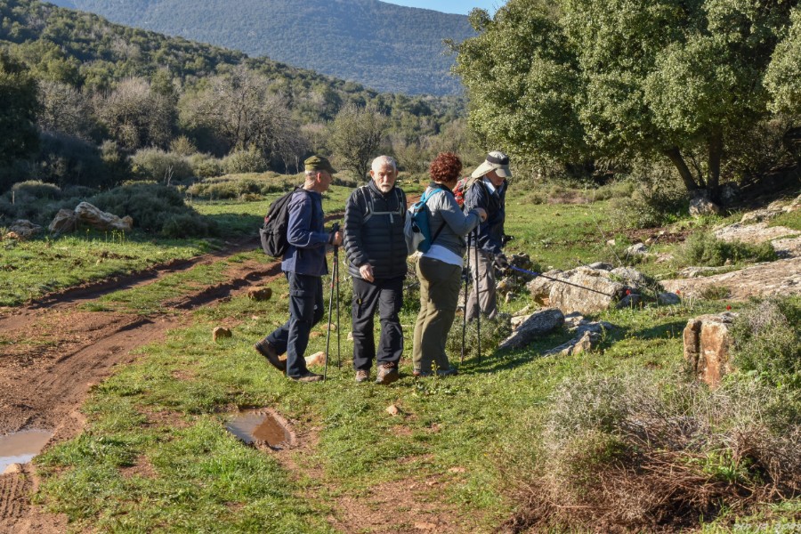 שביל ישראל מהצבעון לדישון 9.3 (4)