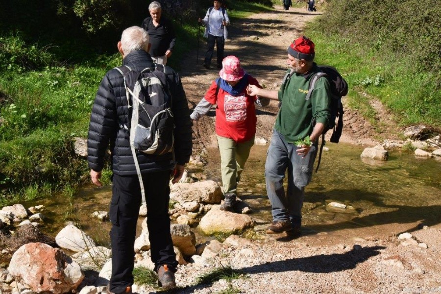 שביל ישראל מהצבעון לדישון 9.3 (37)