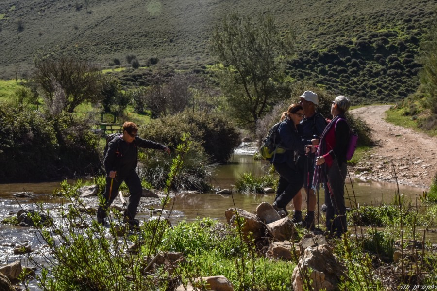 שביל ישראל מהצבעון לדישון 9.3 (42)