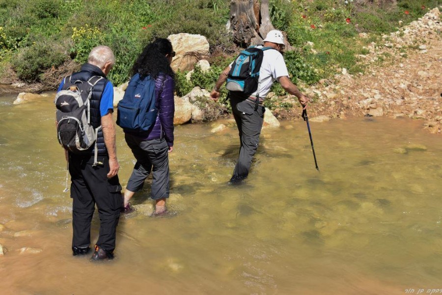 שביל ישראל מהצבעון לדישון 9.3 (85)
