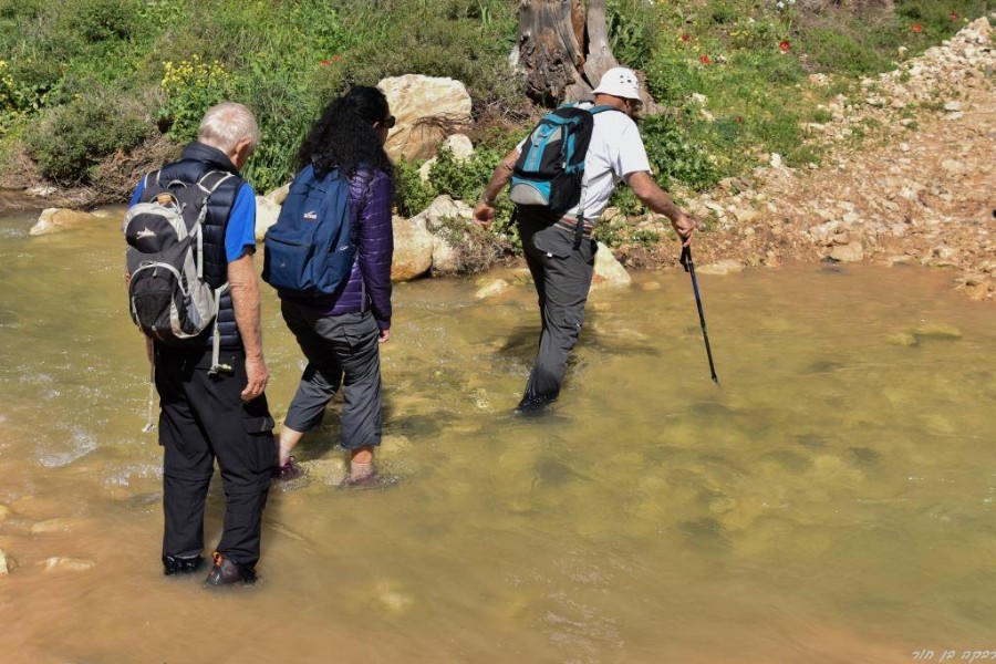 שביל ישראל מהצבעון לדישון 9.3 (85)