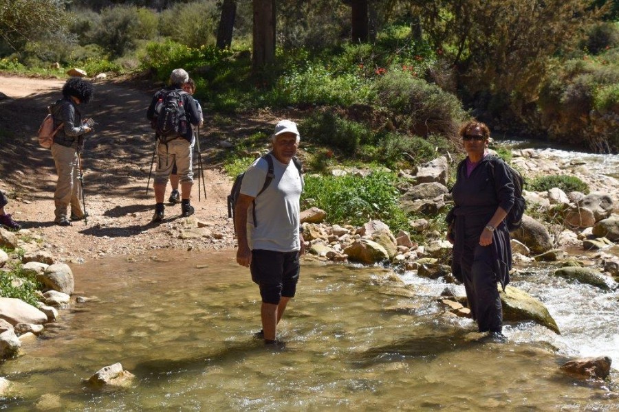 שביל ישראל מהצבעון לדישון 9.3 (80)