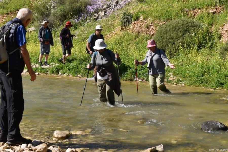 שביל ישראל מהצבעון לדישון 9.3 (102)