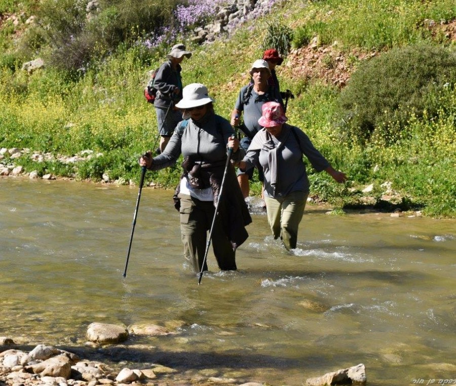 שביל ישראל מהצבעון לדישון 9.3 (103)