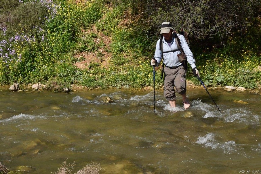 שביל ישראל מהצבעון לדישון 9.3 (100)