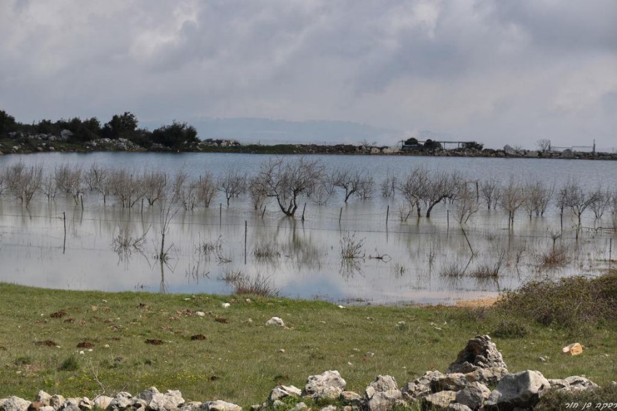 שביל מים אל ים, שמורת הר מירון 11.03 (34)