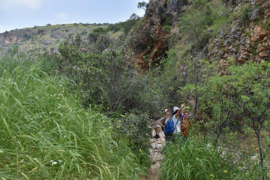 צועדים מים לים 14.4 (נחל עמוד תחתון) (37)