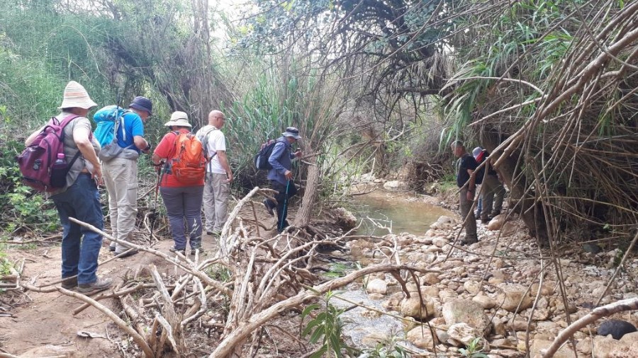 צועדים מים לים 14.4 (נחל עמוד תחתון) (86)