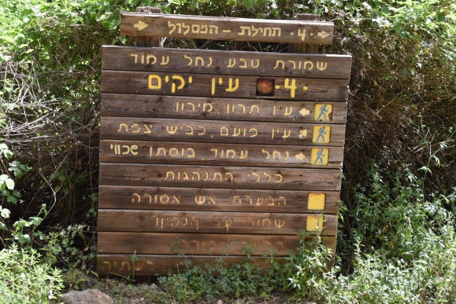 נחל עמוד עליון 6 (81)