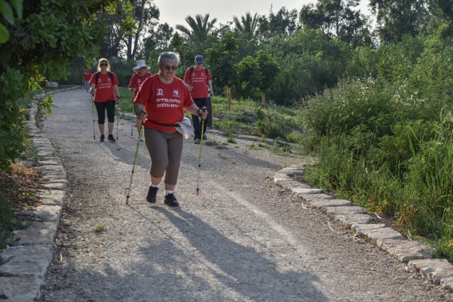 מיפגש הליכה נורדית 15.5 (11)